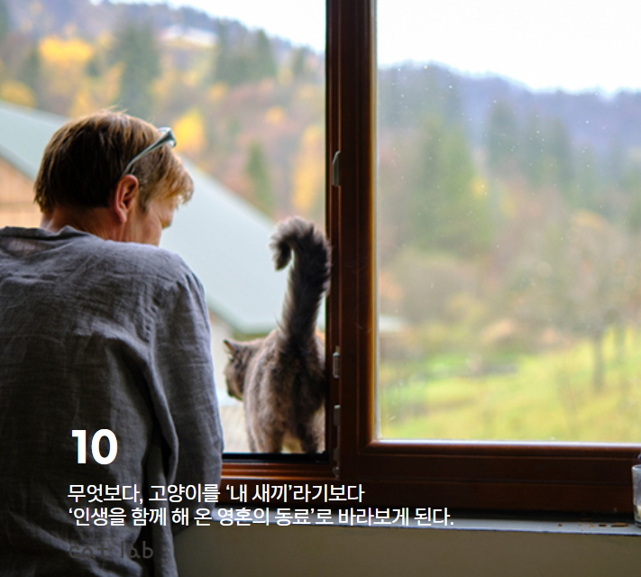 7bd4b57e63b698f9fca0a8192cea210b_1765856484_786.jpg 7bd4b57e63b698f9fca0a8192cea210b_1765856