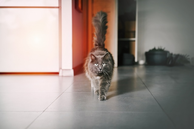 7bd4b57e63b698f9fca0a8192cea210b_1766381