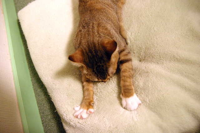 7bd4b57e63b698f9fca0a8192cea210b_1766571