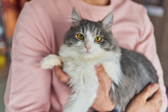 7bd4b57e63b698f9fca0a8192cea210b_1766571