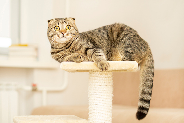 7bd4b57e63b698f9fca0a8192cea210b_1767144