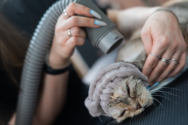 7bd4b57e63b698f9fca0a8192cea210b_1767497