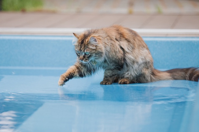 7bd4b57e63b698f9fca0a8192cea210b_1767497