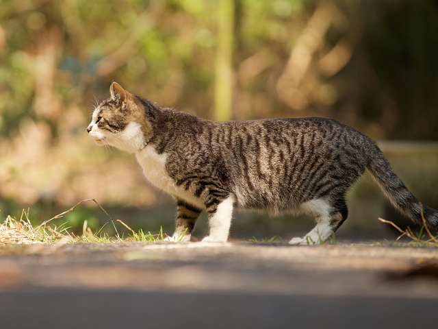 7bd4b57e63b698f9fca0a8192cea210b_1767762451_3891.jpg 7bd4b57e63b698f9fca0a8192cea210b_1767762