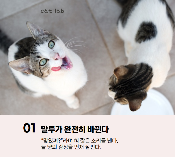 7bd4b57e63b698f9fca0a8192cea210b_1767936