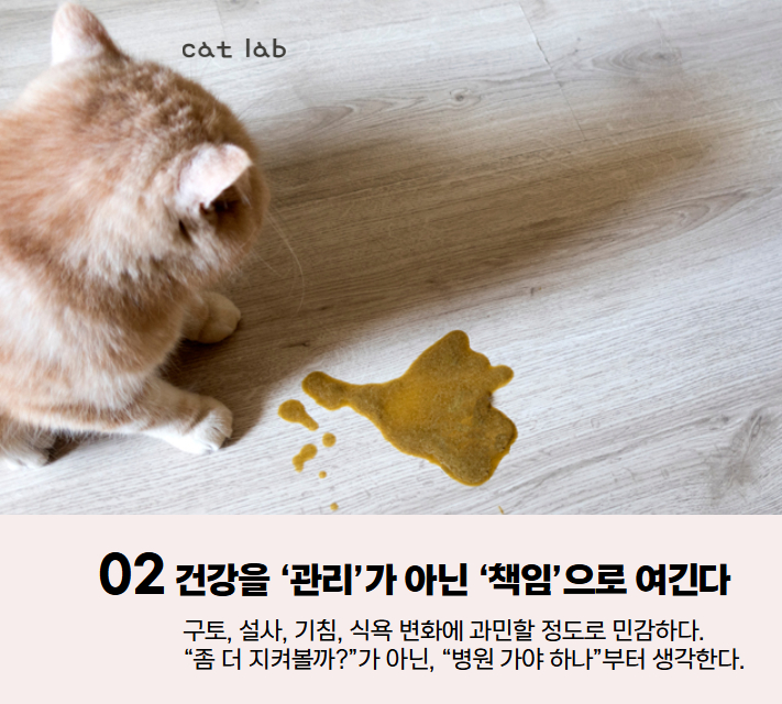 7bd4b57e63b698f9fca0a8192cea210b_1767936