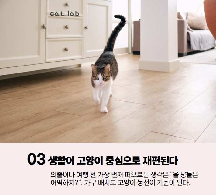 7bd4b57e63b698f9fca0a8192cea210b_1767936