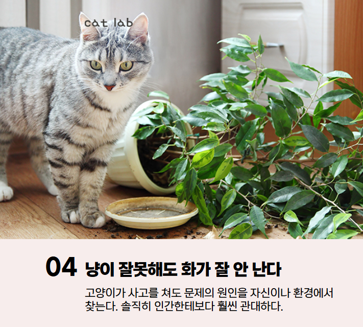 7bd4b57e63b698f9fca0a8192cea210b_1767936