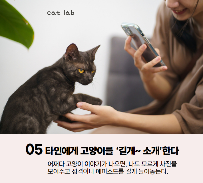 7bd4b57e63b698f9fca0a8192cea210b_1767936