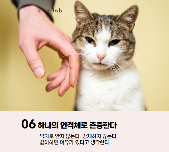 7bd4b57e63b698f9fca0a8192cea210b_1767936