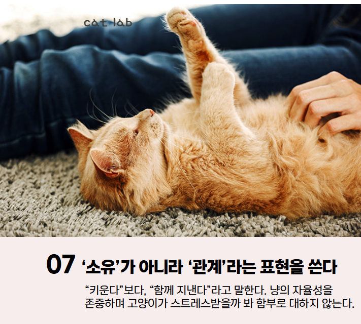 7bd4b57e63b698f9fca0a8192cea210b_1767936