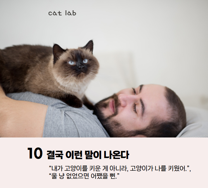 7bd4b57e63b698f9fca0a8192cea210b_1767936