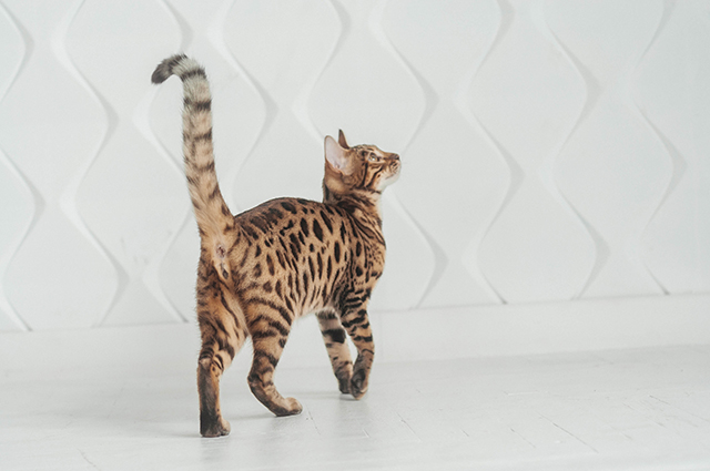 7bd4b57e63b698f9fca0a8192cea210b_1768107187_9882.jpg 7bd4b57e63b698f9fca0a8192cea210b_1768107