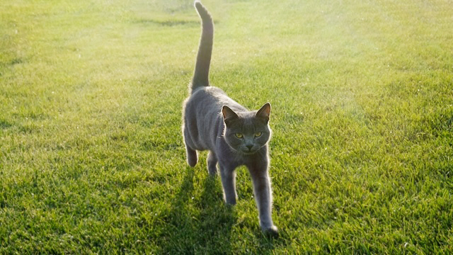 7bd4b57e63b698f9fca0a8192cea210b_1768107282_8506.jpg 7bd4b57e63b698f9fca0a8192cea210b_1768107