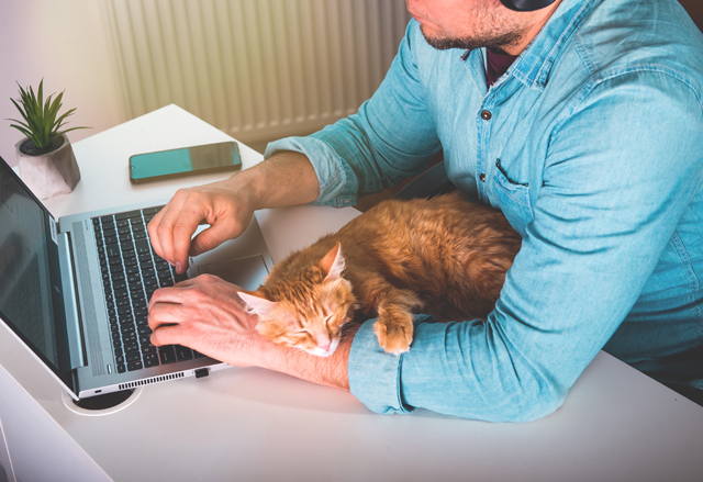 7bd4b57e63b698f9fca0a8192cea210b_1768978