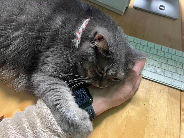 7bd4b57e63b698f9fca0a8192cea210b_1768978