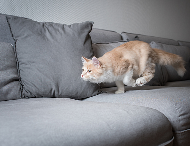 7bd4b57e63b698f9fca0a8192cea210b_1770181