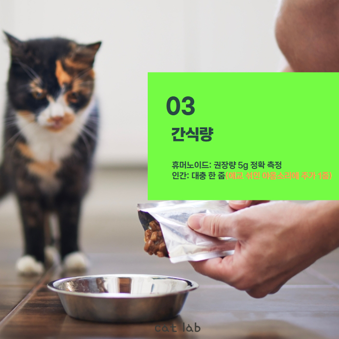 7bd4b57e63b698f9fca0a8192cea210b_1771921