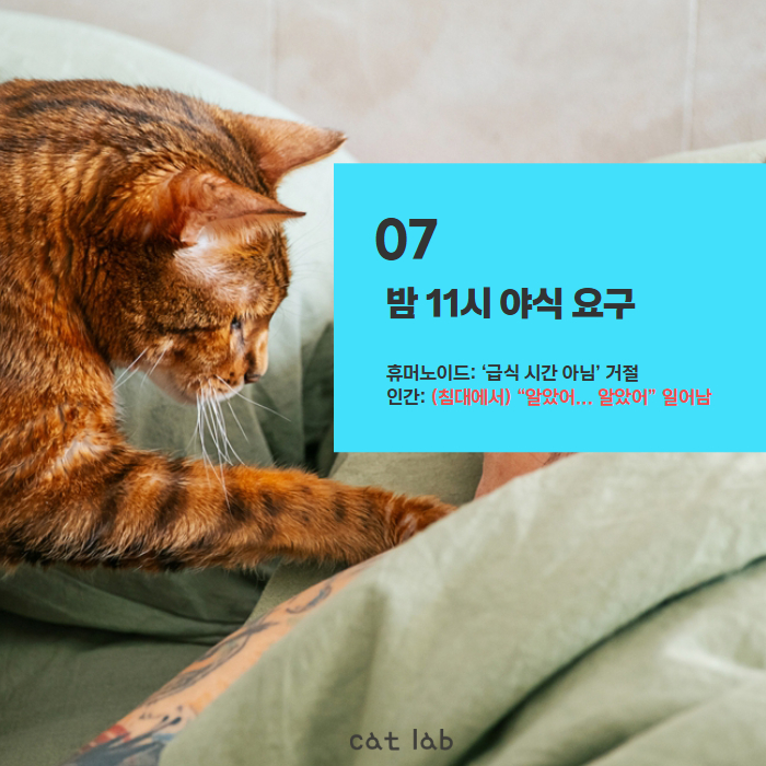 7bd4b57e63b698f9fca0a8192cea210b_1771921