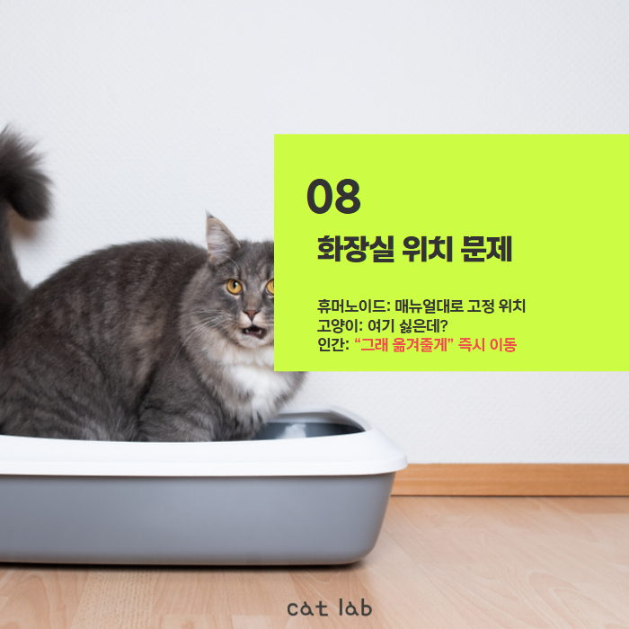 7bd4b57e63b698f9fca0a8192cea210b_1771921