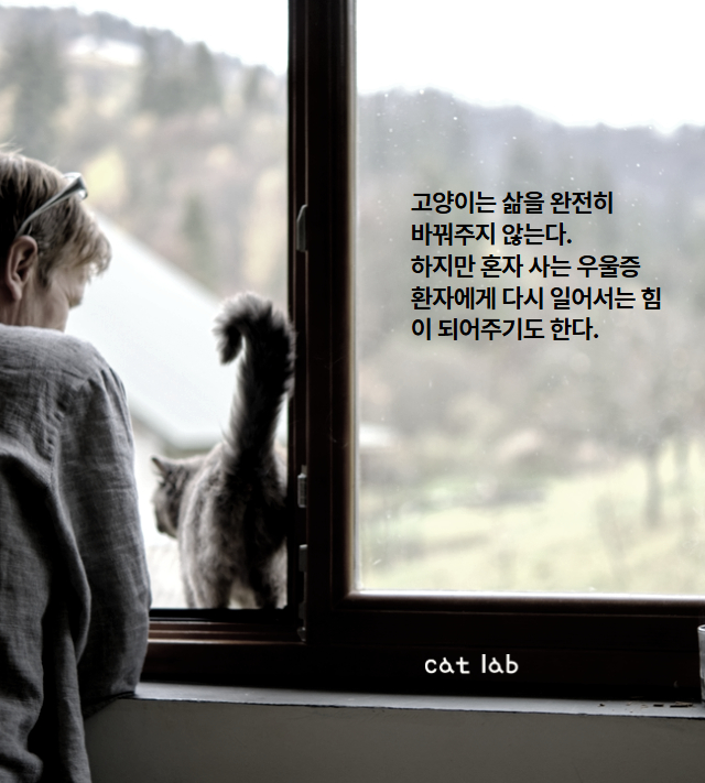 7bd4b57e63b698f9fca0a8192cea210b_1772040703_4137.jpg 7bd4b57e63b698f9fca0a8192cea210b_1772040