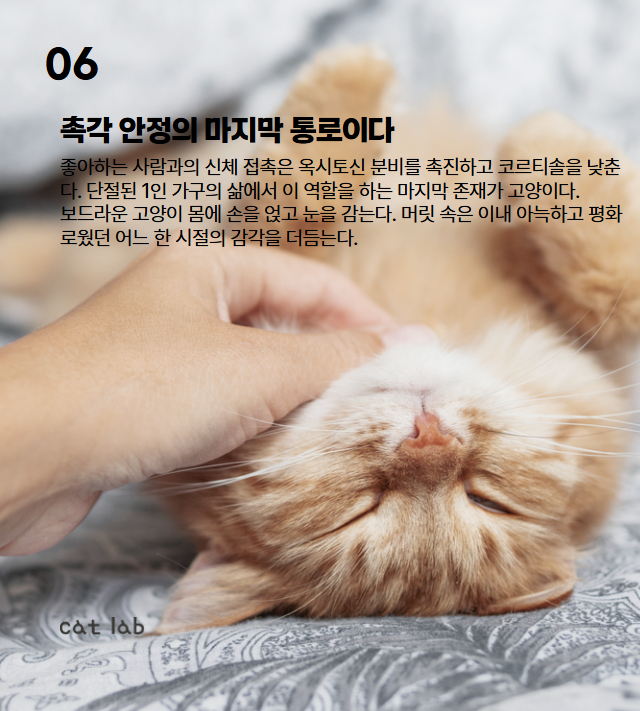 7bd4b57e63b698f9fca0a8192cea210b_1772084