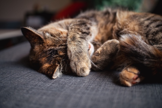 7bd4b57e63b698f9fca0a8192cea210b_1772174