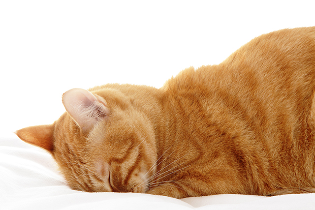 7bd4b57e63b698f9fca0a8192cea210b_1772174