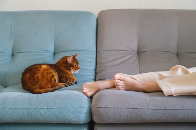 7bd4b57e63b698f9fca0a8192cea210b_1772437780_879.jpg 7bd4b57e63b698f9fca0a8192cea210b_1772437