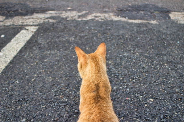 7bd4b57e63b698f9fca0a8192cea210b_1772647