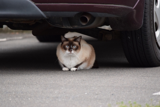 7bd4b57e63b698f9fca0a8192cea210b_1772647