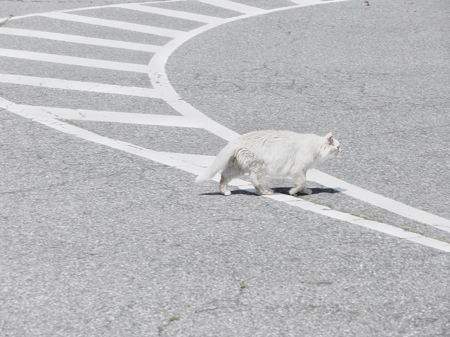 7bd4b57e63b698f9fca0a8192cea210b_1772647