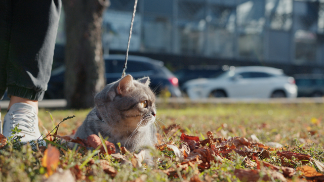 7bd4b57e63b698f9fca0a8192cea210b_1772647