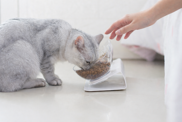 7bd4b57e63b698f9fca0a8192cea210b_1773039