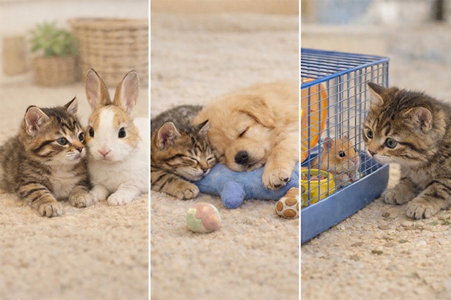 7bd4b57e63b698f9fca0a8192cea210b_1773600065_3747.png 7bd4b57e63b698f9fca0a8192cea210b_1773600