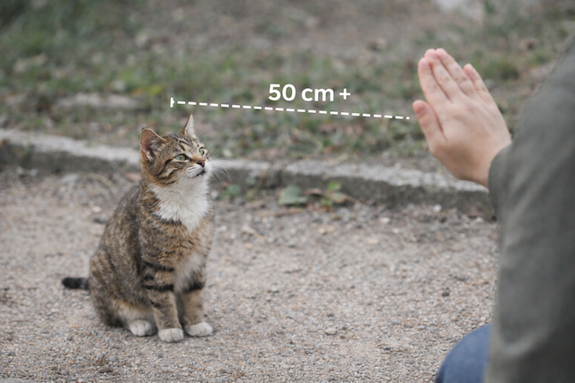 7bd4b57e63b698f9fca0a8192cea210b_1773600218_5556.png 7bd4b57e63b698f9fca0a8192cea210b_1773600