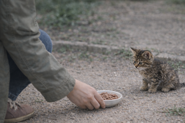 7bd4b57e63b698f9fca0a8192cea210b_1773601295_3562.png 7bd4b57e63b698f9fca0a8192cea210b_1773601