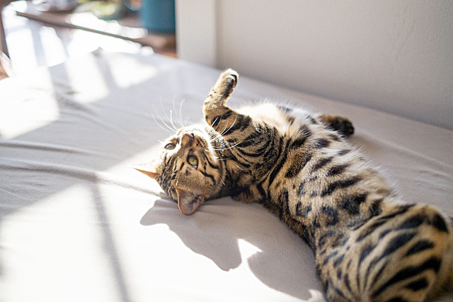 7bd4b57e63b698f9fca0a8192cea210b_1773848