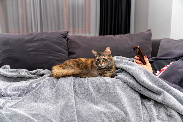 7bd4b57e63b698f9fca0a8192cea210b_1773848