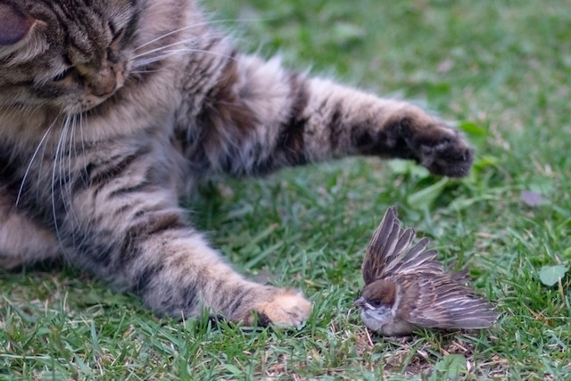 7bd4b57e63b698f9fca0a8192cea210b_1774250