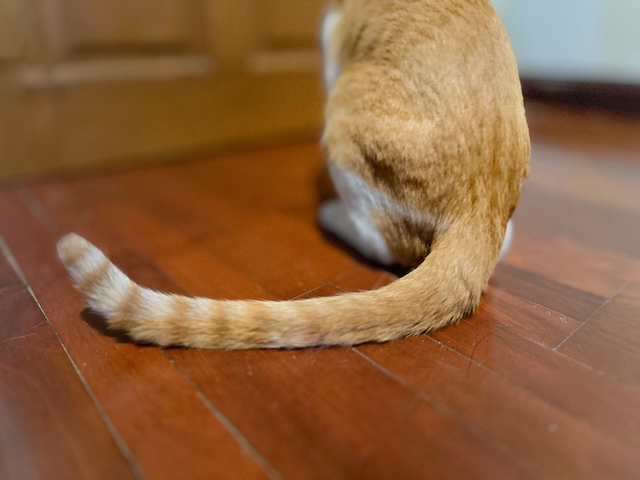 7bd4b57e63b698f9fca0a8192cea210b_1774680