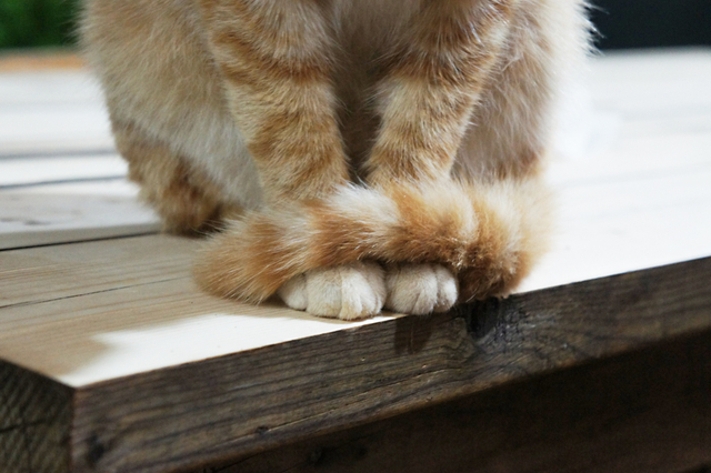 7bd4b57e63b698f9fca0a8192cea210b_1774680