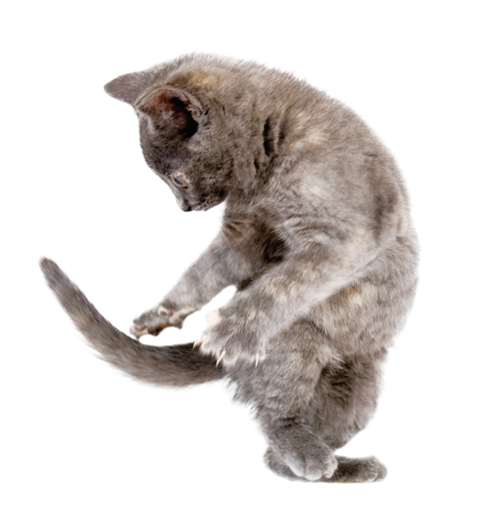 7bd4b57e63b698f9fca0a8192cea210b_1774680