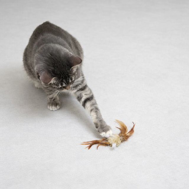 7bd4b57e63b698f9fca0a8192cea210b_1776318