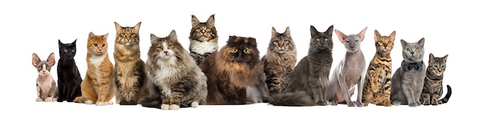 7bd4b57e63b698f9fca0a8192cea210b_1776919