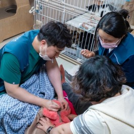 화성 동탄에 '데피니트 캣'이 왔다