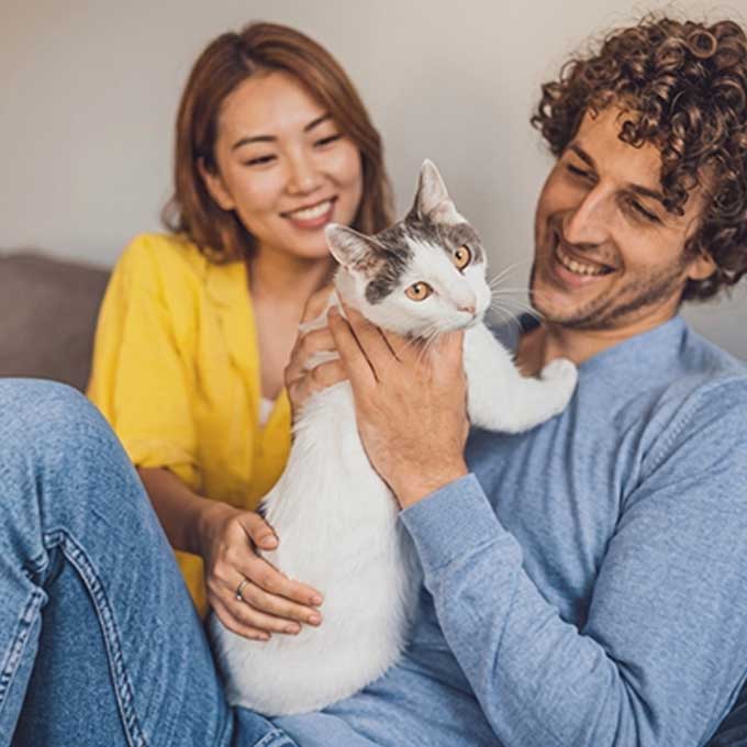 여성은 고양이 같은 사람, 냥을 좋아하는 남성과 여성 특징
