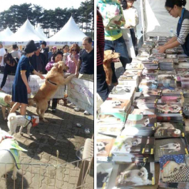 “사지말고 입양하세요” … 서울시, 4월부터 월드컵공원에서 ‘유기동물 입양행사’ 열어