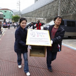 동물단체 케어, 성북구 장수마을에 길고양이 급식소 설치