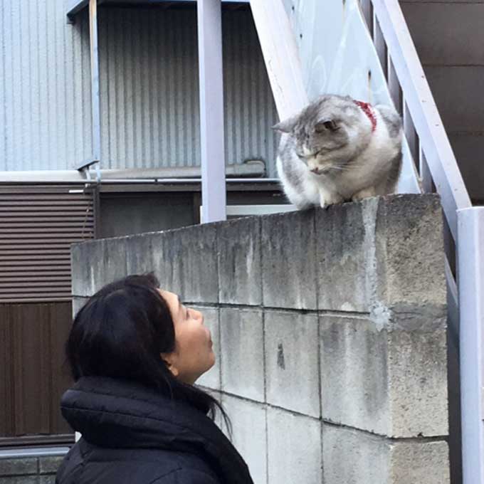 집사는 고양이를 닮았다